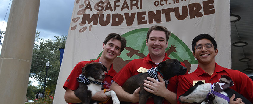 Three southerners holding dogs.