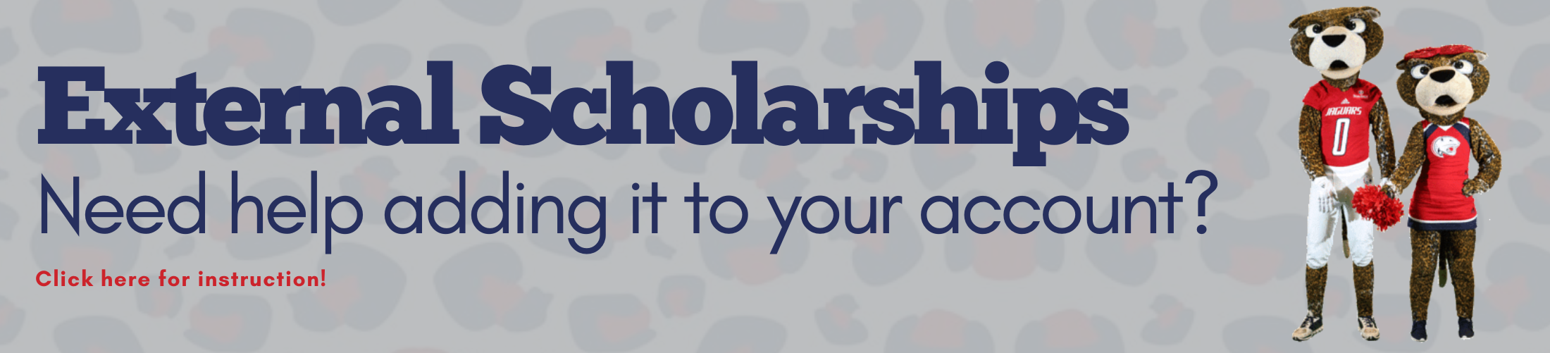 External Scholarships